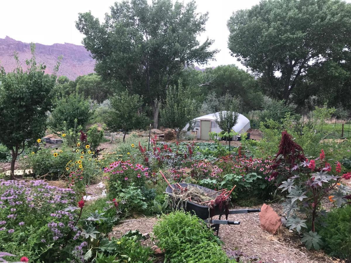Red Moon Lodge Moab Bagian luar foto